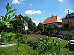Třibřichy